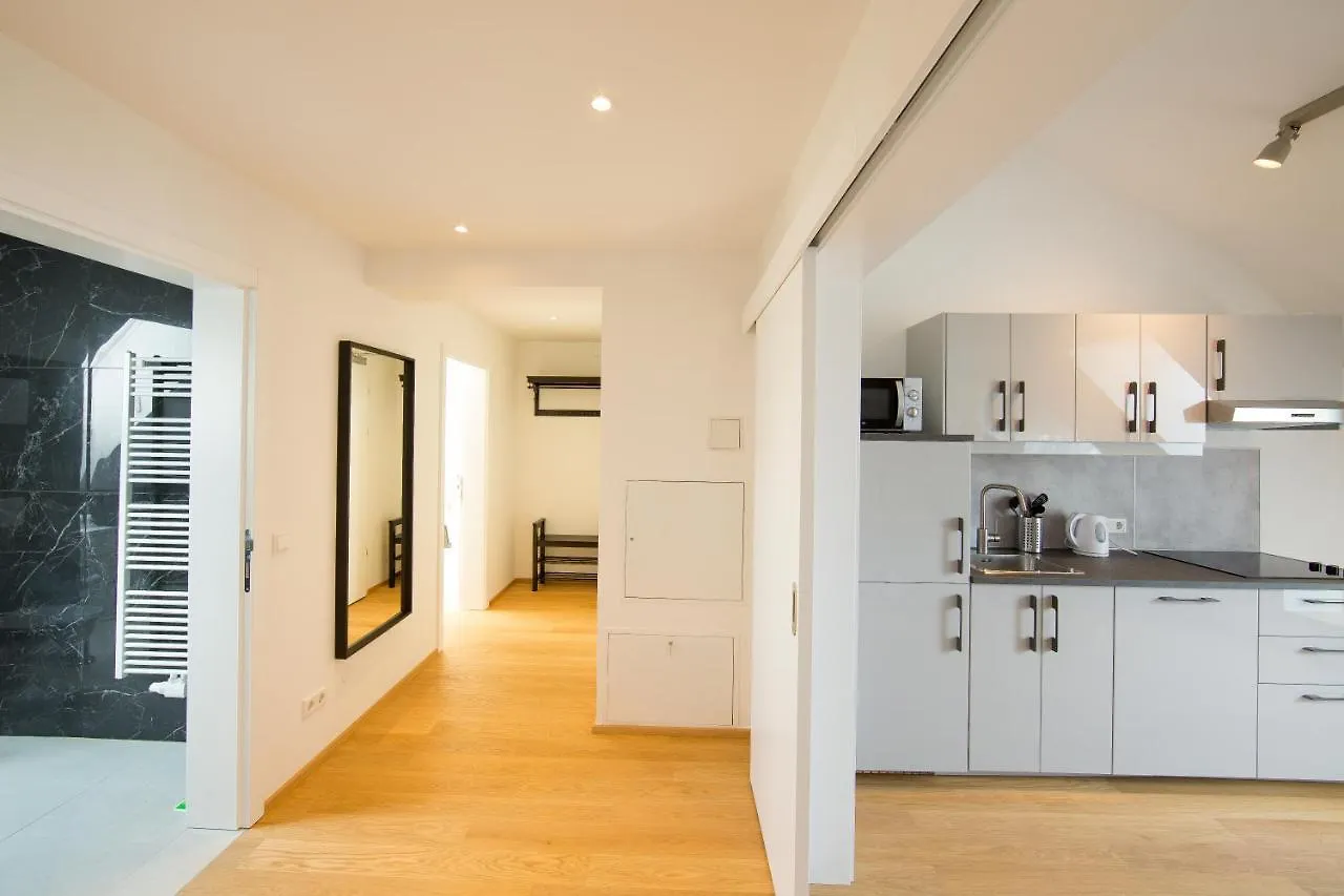 Ls Apartment By Nikolax Vienna 0*,  Austria